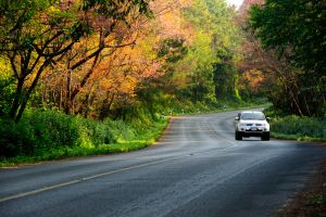 Car on back road