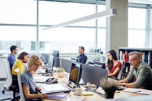 Office employees working